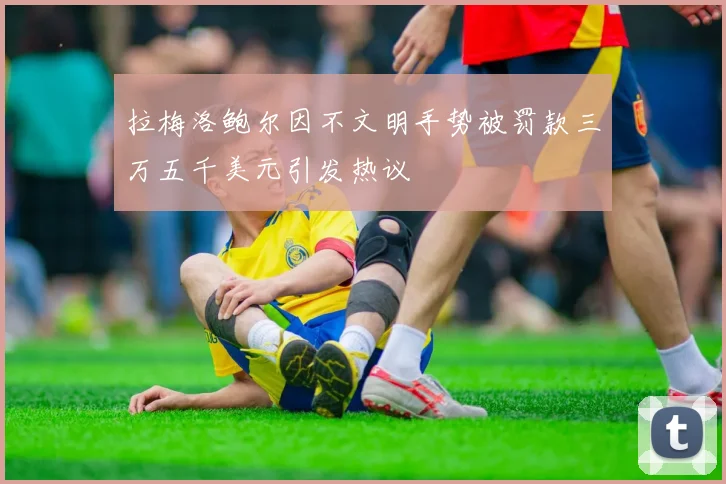 拉梅洛鲍尔因不文明手势被罚款三万五千美元引发热议